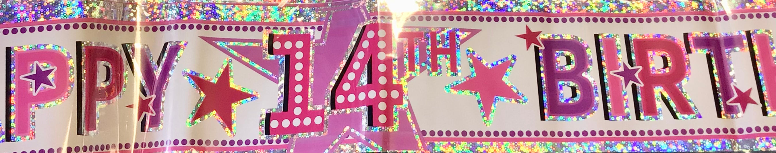 Age 14 Birthday Banner