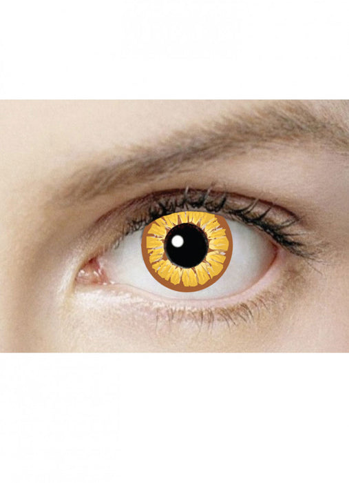 Golden Vampire Eye Accessories - Asst