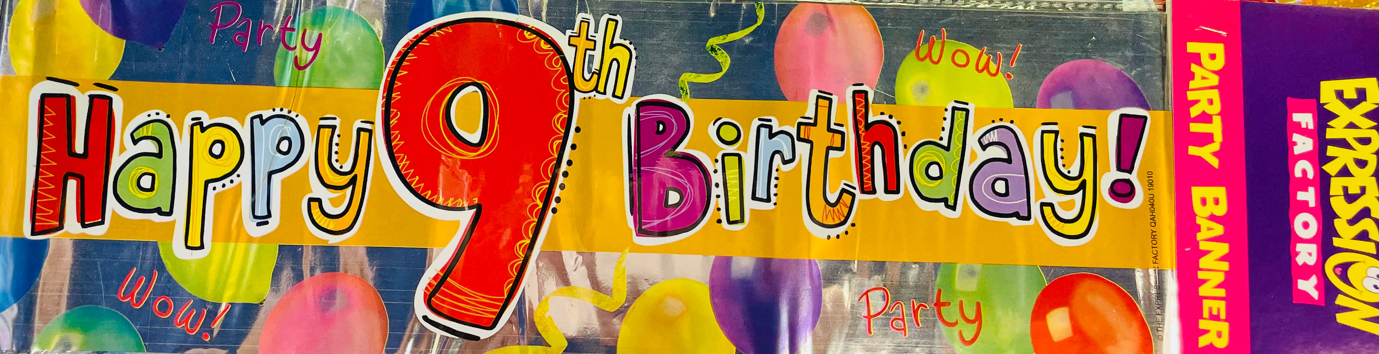 Age 9 Birthday Banner