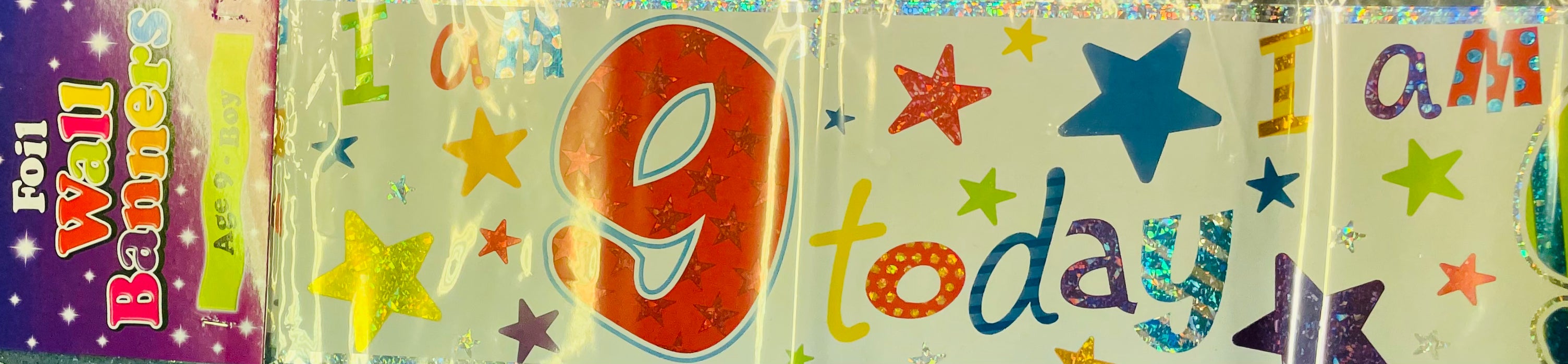 Age 9 Birthday Banner