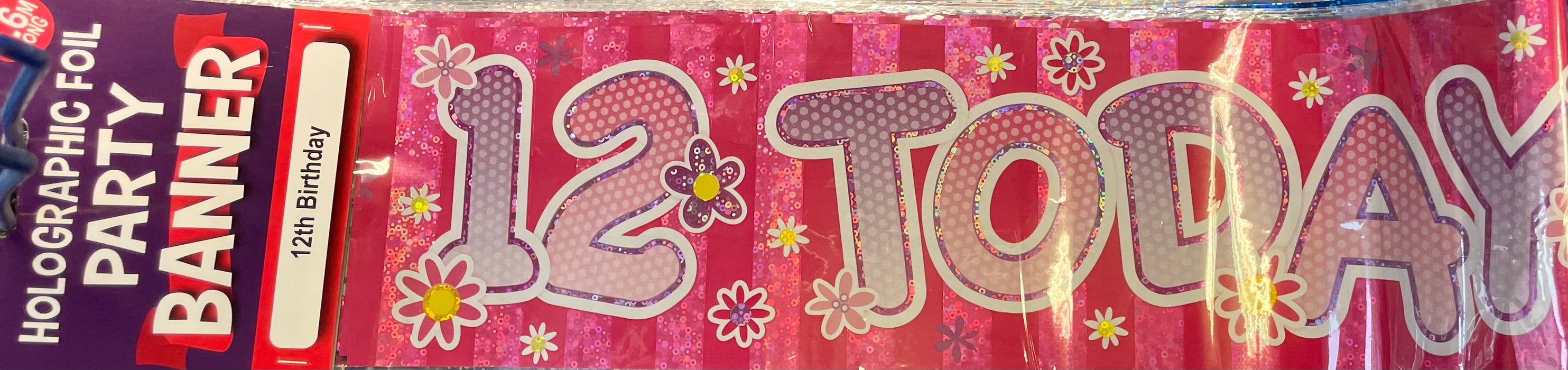 Age 12 Birthday Banner