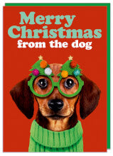 Comedy Christmas Card - Merry Xmas From The Dog