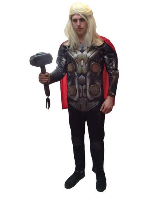 Thor - The Avengers Hire Costume - The Ultimate Balloon & Party Shop