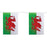 Welsh Bunting 7m Plastic - The Ultimate Balloon & Party Shop