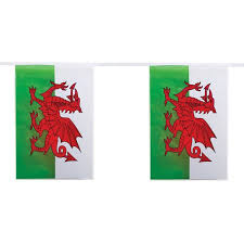 Welsh Bunting 7m Plastic - The Ultimate Balloon & Party Shop